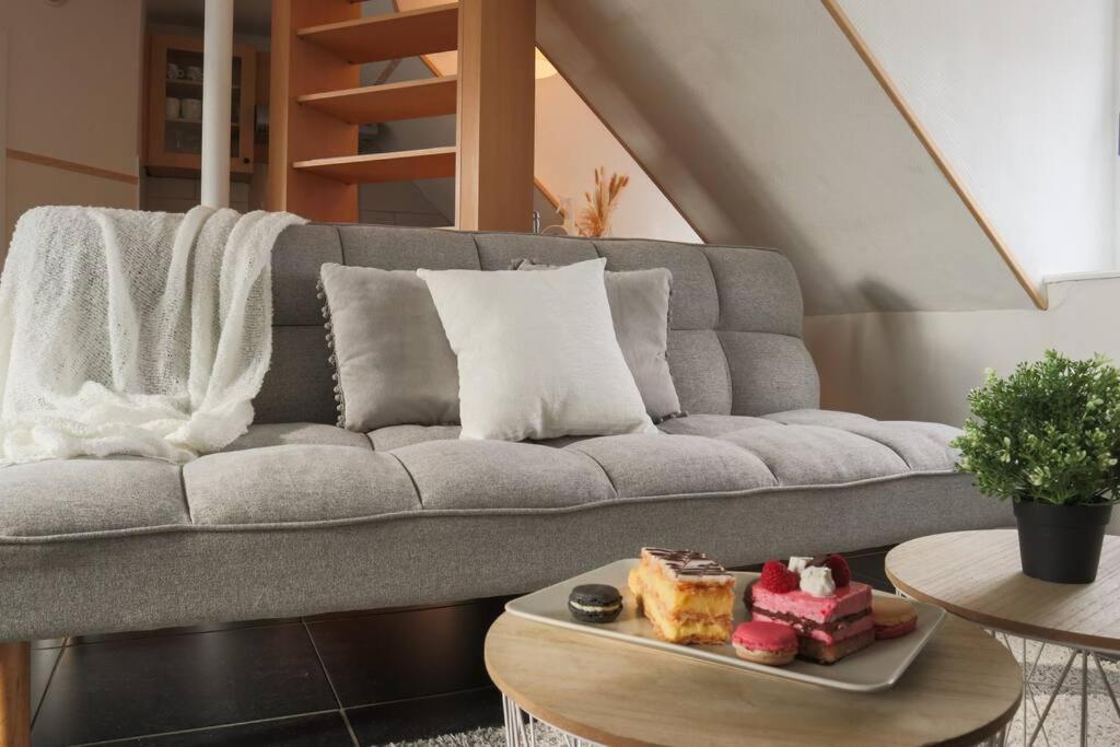 Le Coin De Paradis, Proche Centre Ville Mulhouse Dış mekan fotoğraf